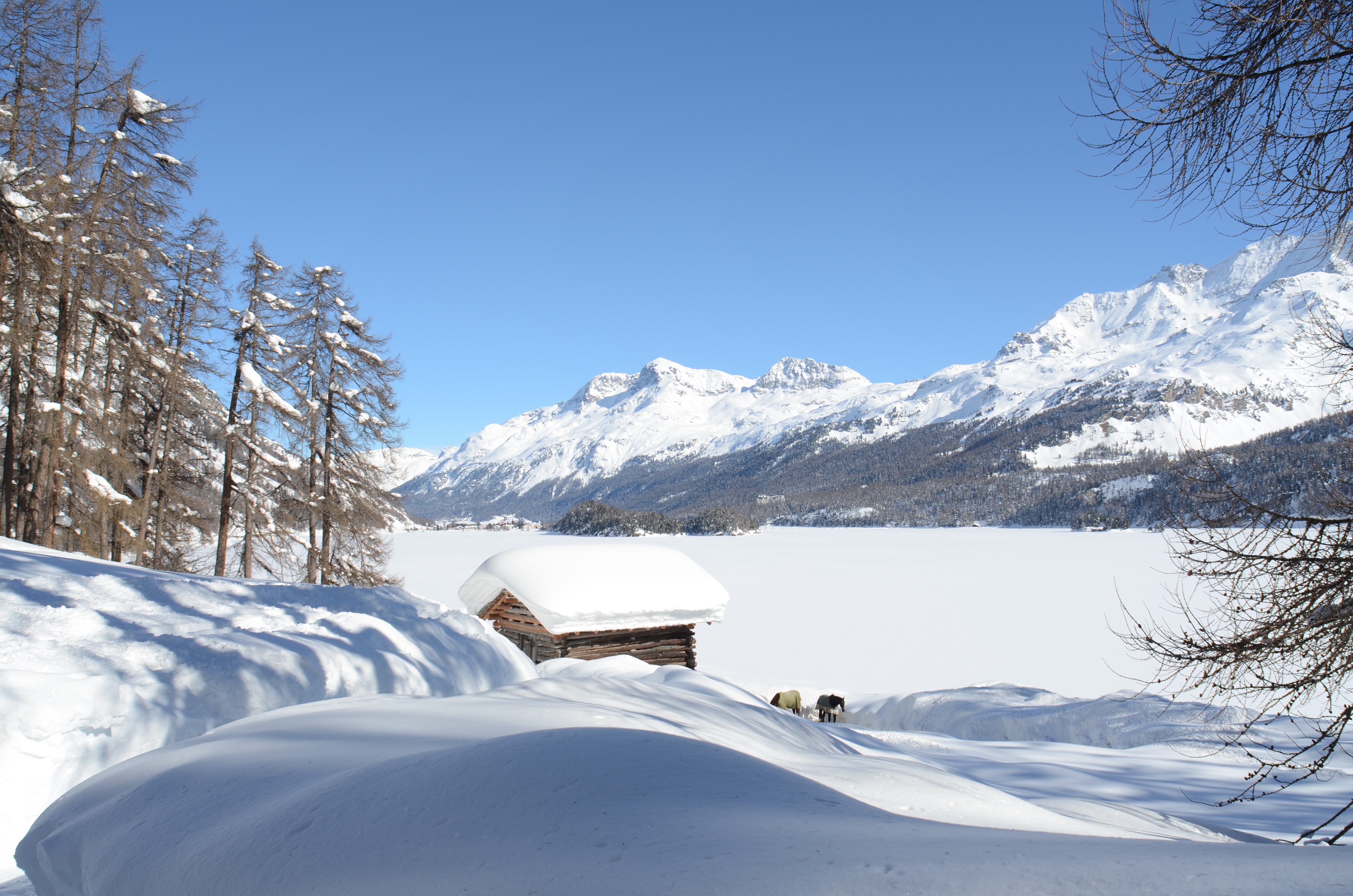 Vacanze da sogno a Livigno | Hotel le Alpi Livigno